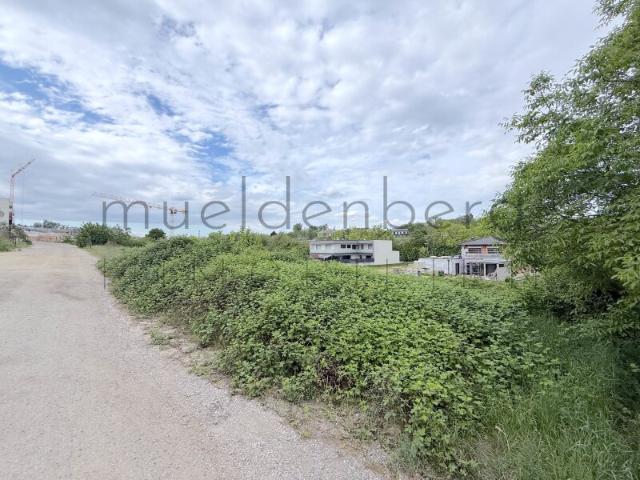 Grundstück kaufen in Neusiedl am See, Burgenland