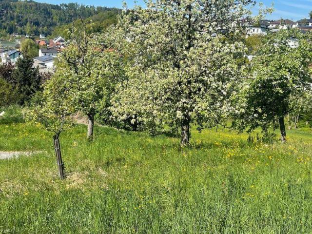 Immobilie kaufen in Bach, Walding