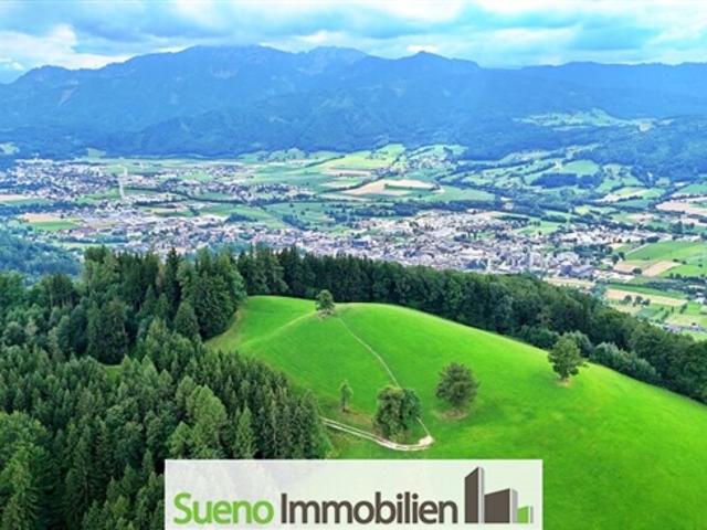 Landwirtschaft kaufen in Oberschlierbach, Oberösterreich