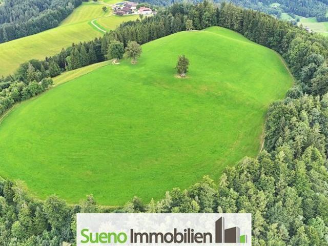 Landwirtschaft kaufen in Oberschlierbach, Oberösterreich