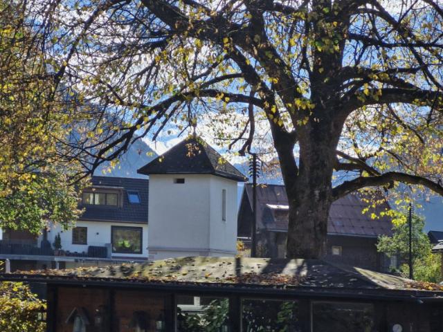Etagenwohnung kaufen in Schruns, Hof