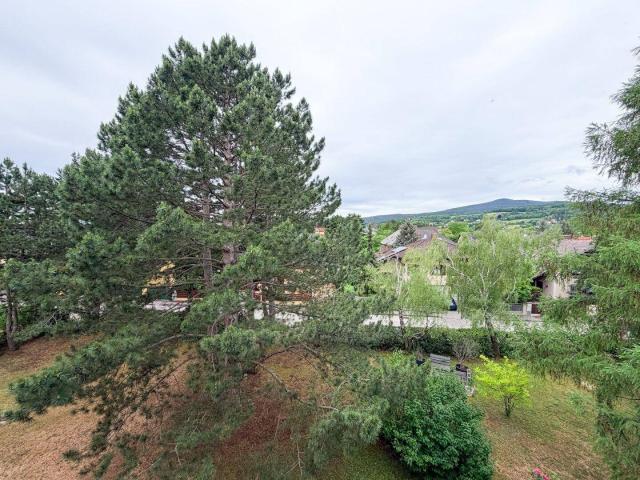 Apartment kaufen in Baden, Niederösterreich