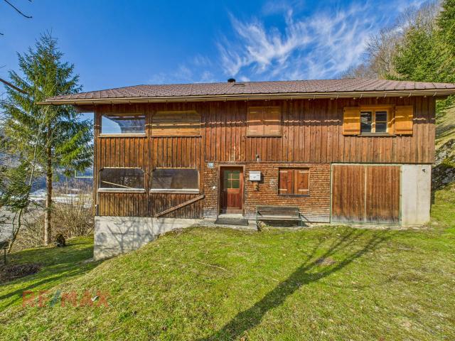 Haus kaufen in Mellau