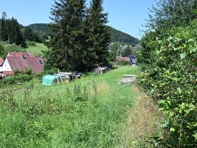 Erdgeschosswohnung kaufen in Gomadingen, Landkreis Reutlingen