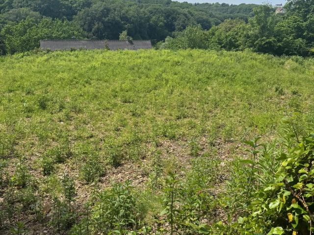 Landwirtschaft kaufen in Witten-Mitte, Witten