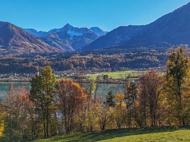 Grundstück kaufen in Ludmannsdorf, Kärnten