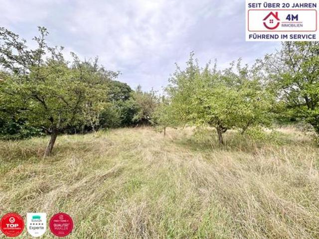 Grundstück kaufen in Bad Fischau-Brunn, Niederösterreich