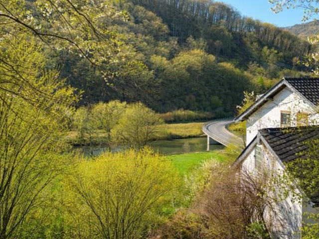 Erdgeschosswohnung kaufen in Dausenau, Rheinland-Pfalz