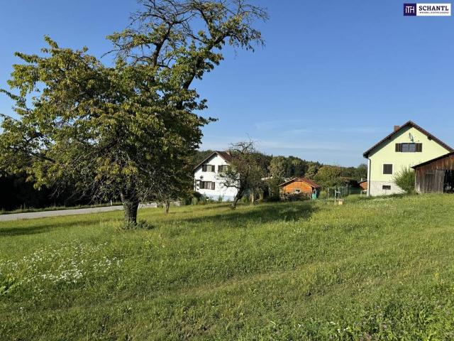 Grundstück kaufen in Steiermark
