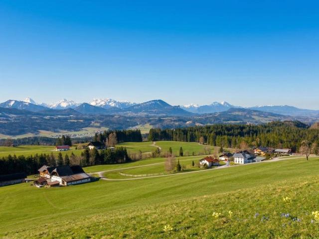 Immobilie kaufen in Thalgau, Salzburg
