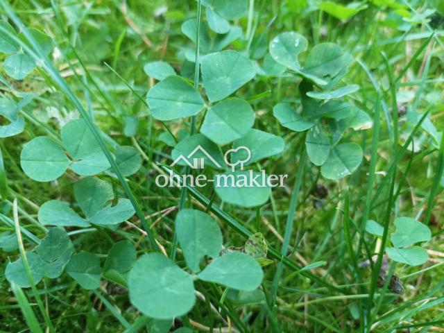 Erdgeschosswohnung kaufen in Marzahn-Hellersdorf, Berlin