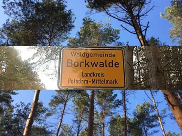 Erdgeschosswohnung kaufen in Borkwalde, Potsdam-Mittelmark