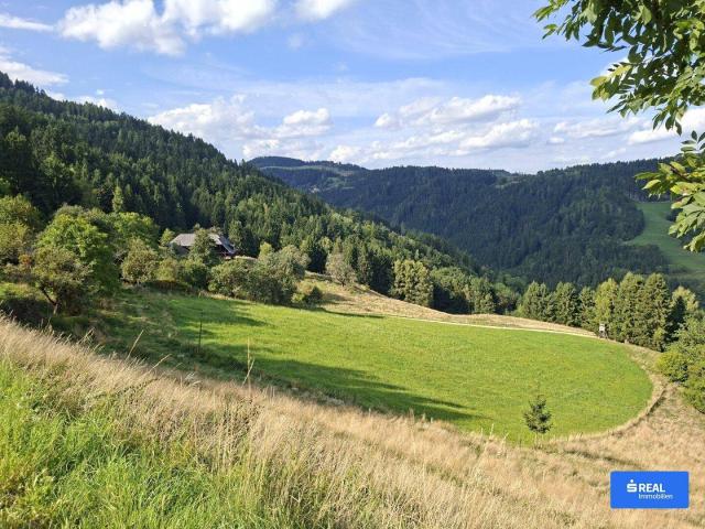 Haus kaufen in Griffen, Kärnten