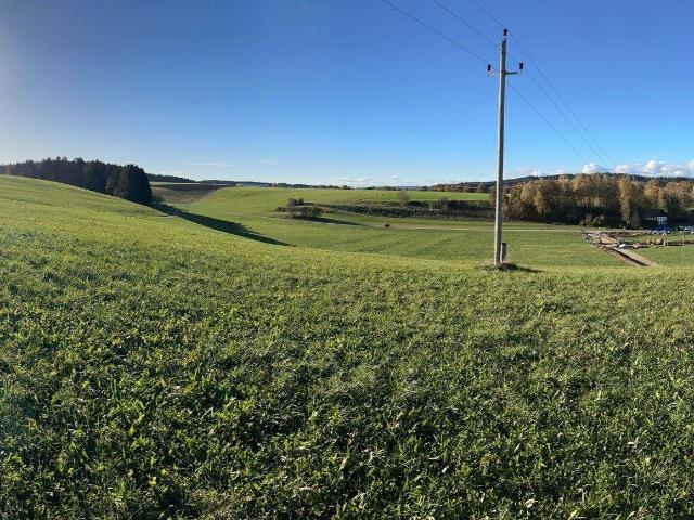 Immobilie kaufen in Gampern, Oberösterreich