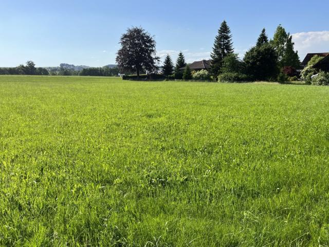 Grundstück kaufen in Pramet, Oberösterreich