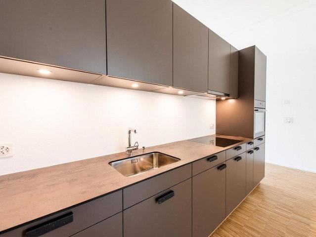 Apartment mieten in Weisslingen, Zürich