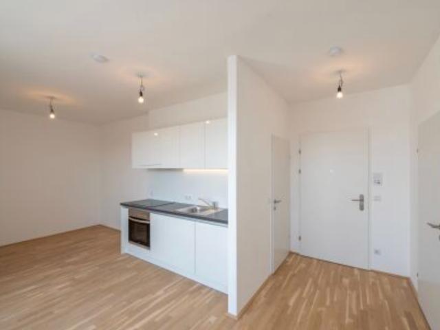 Wohnung mieten in Donaustadt, Wien