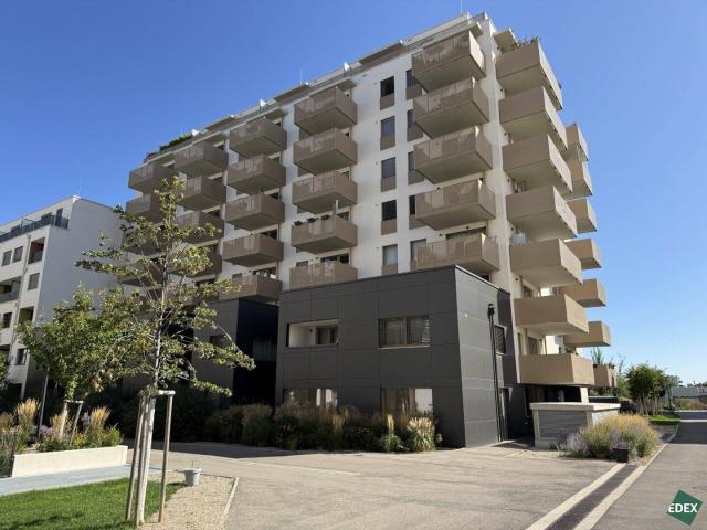 Apartment mieten in Donaustadt, Wien