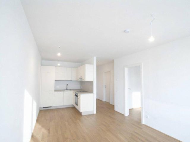 Apartment mieten in Kagraner Laberl, Wien