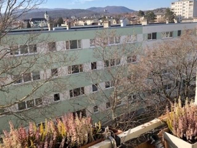 Wohnung kaufen in Brunn am Gebirge, Niederösterreich