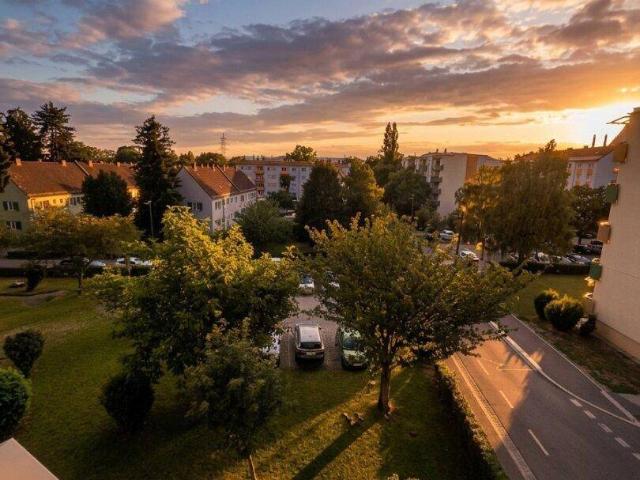 Apartment kaufen in Liebenau, Gersdorf-Feistritz