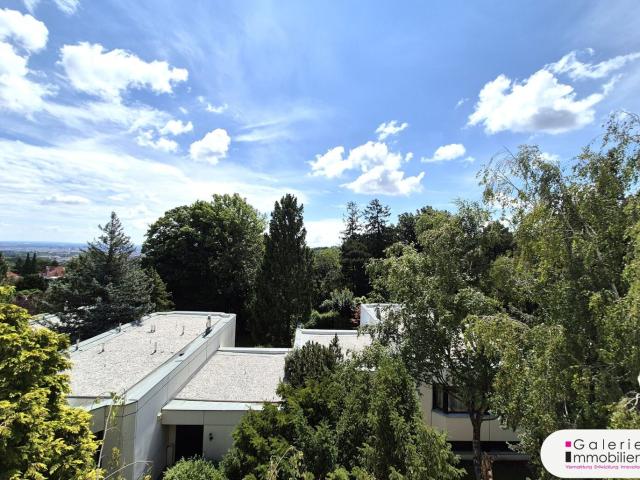 Wohnung kaufen in Wien