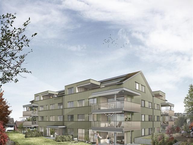 Attikawohnung kaufen in Weisslingen, Zürich