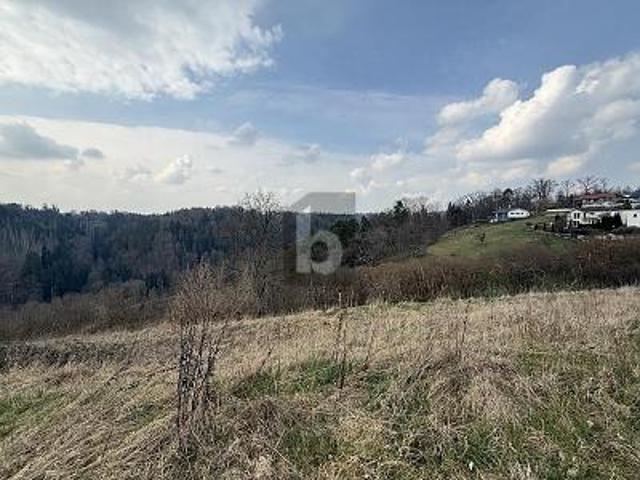 Erdgeschosswohnung kaufen in Wildberg, Baden-Württemberg