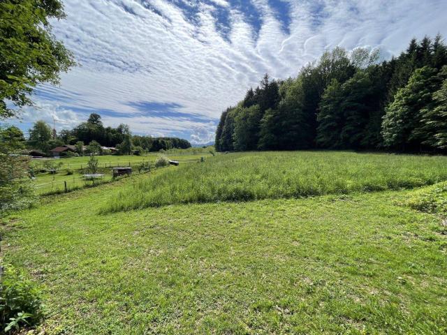 Immobilie kaufen in Straß im Attergau, Oberösterreich