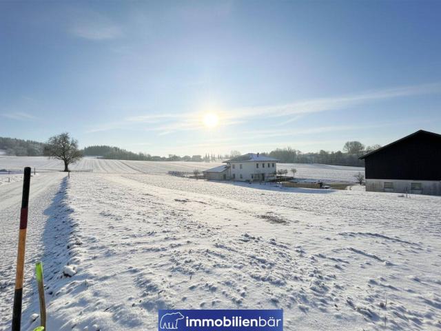 Immobilie kaufen in St. Willibald, Oberösterreich