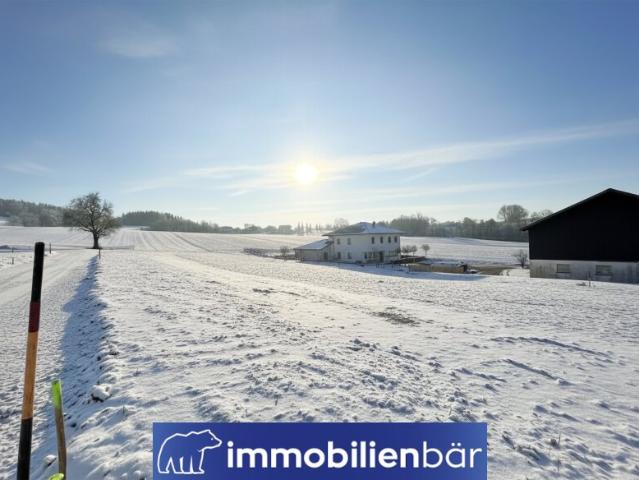 Grundstück kaufen in St. Willibald, Oberösterreich