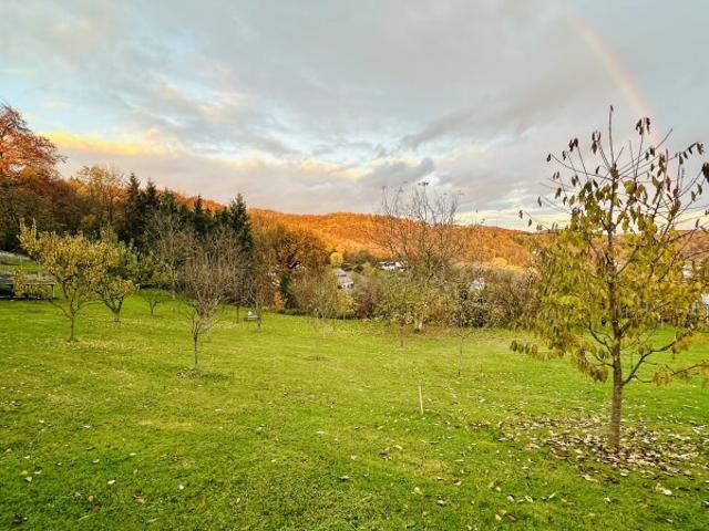 Grundstück kaufen in Steyregg, Oberösterreich