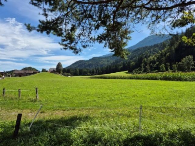 Grundstück kaufen in Berg im Drautal, Kärnten
