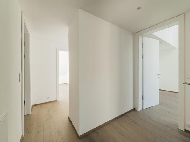 Wohnung mieten in Donaustadt, Wien