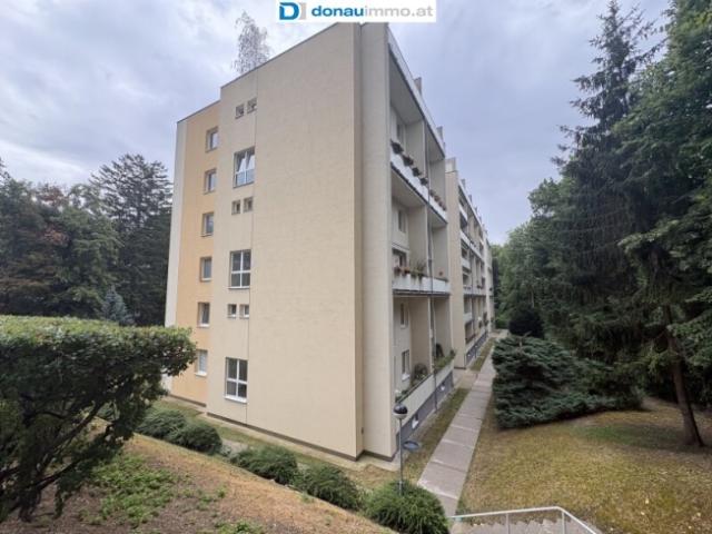 Wohnung kaufen in Baden, Niederösterreich