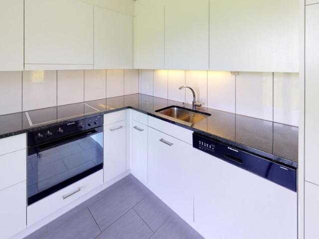 Apartment mieten in Buttikon, Schübelbach