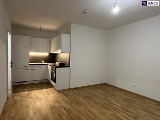 Etagenwohnung mieten in Kalsdorf bei Graz