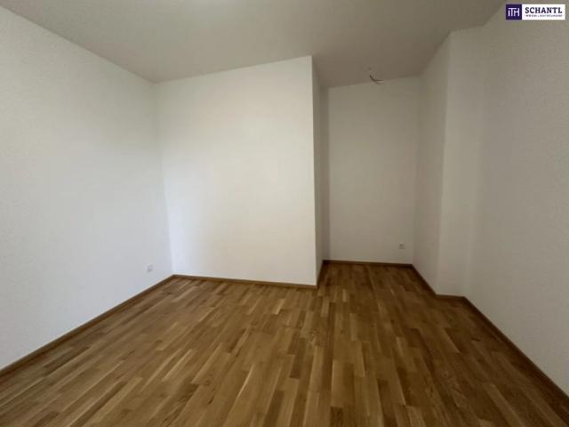 Apartment mieten in Kalsdorf bei Graz, Kleinsulz