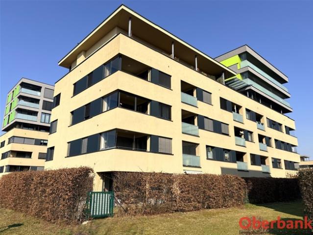 Wohnung kaufen in Bindermichl-Keferfeld, Linz