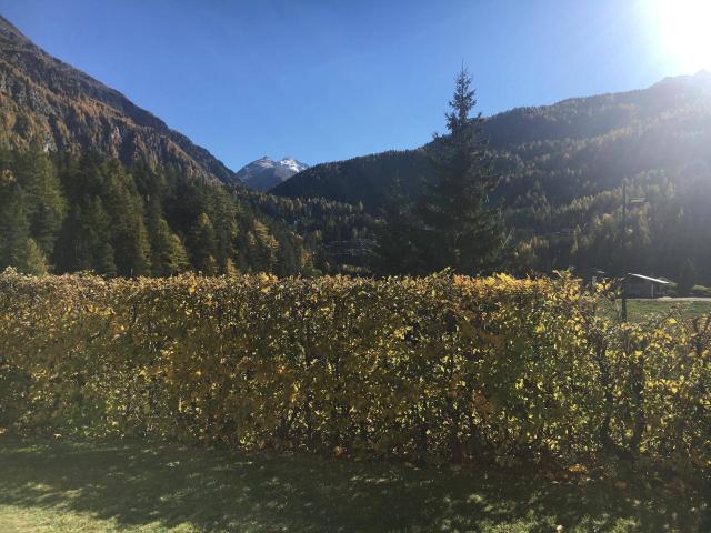 Apartment mieten in Sölden, Tirol
