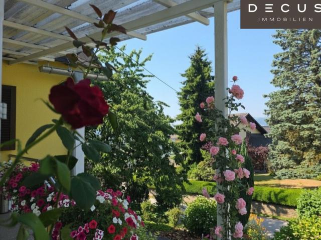 Haus kaufen in Frauental, Steiermark