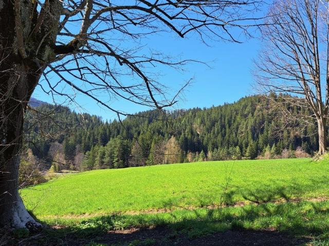 Grundstück kaufen in Loosdorf, Niederösterreich