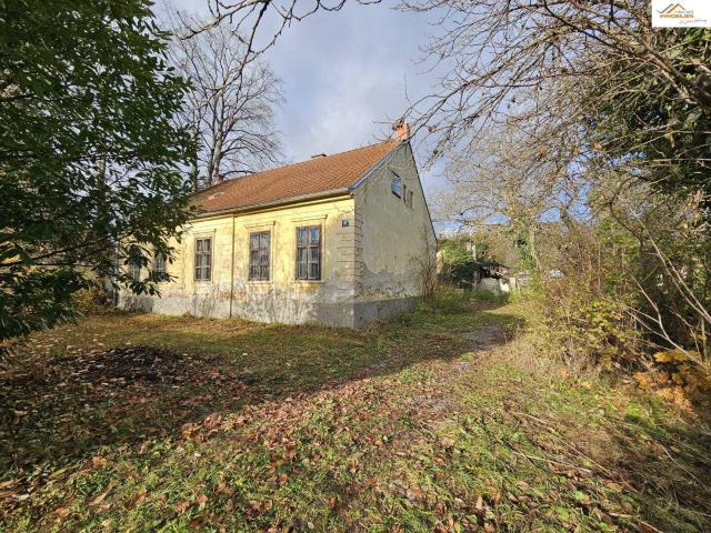Haus kaufen in Pitten, Niederösterreich