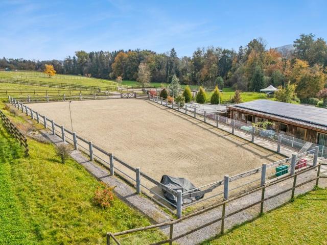 Immobilie kaufen in Dotnacht, Thurgau