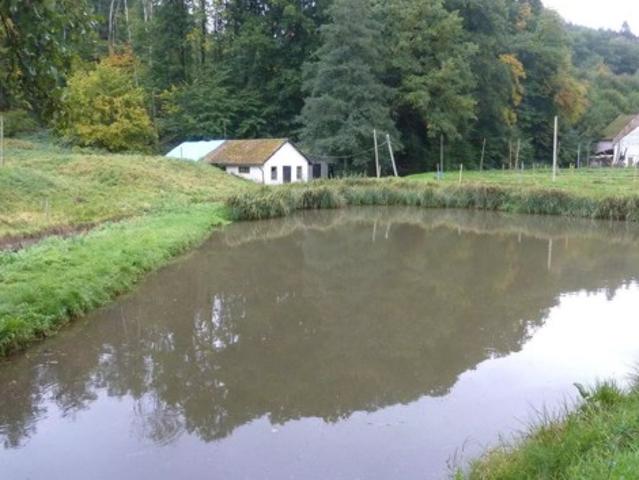Haus kaufen in Kirf, Rheinland-Pfalz
