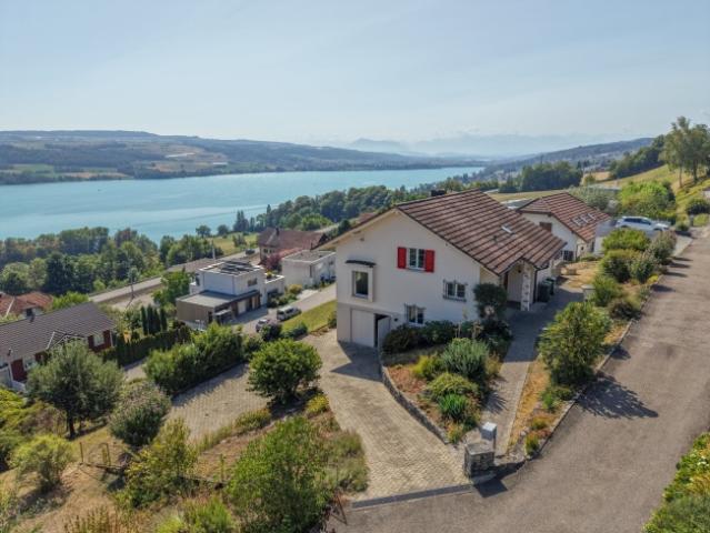 Einfamilienhaus kaufen in Birrwil, Aargau