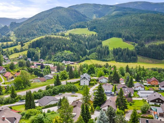 Haus kaufen in Spital am Semmering