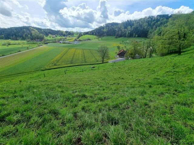 Einfamilienhaus kaufen in Lü