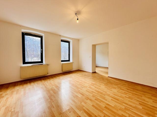 Apartment mieten in Ternitz, Pottschach