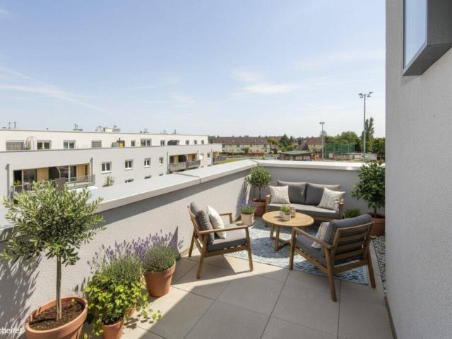 Apartment mieten in Wiener Neustadt, Niederösterreich